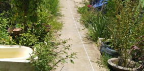 Cho thuê 10.000m2 đất thổ vườn, đối diện VinCity-Vinhomes, Quận 9