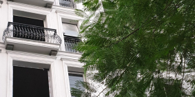 [100%] CHÍNH CHỦ cho thuê Shophouse An Hưng 94m2*7t, MT 6,5m