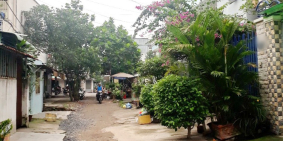 Cho thuê nhà nguyên căn mặt tiền Đường số 9 Phường 4 Quận 8