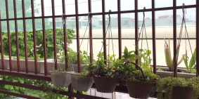 Nhà 6 x 32 Linh Xuân, Thủ Đức cho Thuê