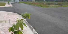 Bán đất nền gần KCN Cầu Tràm, giá 950 triệu/ nền