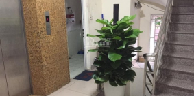 Cho thuê văn phòng khu vực Trung Hòa,Cầu Giấy