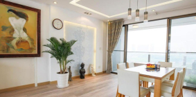 Dự án: Căn hộ cao cấp apec huế.