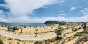 Hoa Vàng Trên Cỏ Xanh – Chính Thức Mở Bán Đất Nền Khu Resort Ven Biển