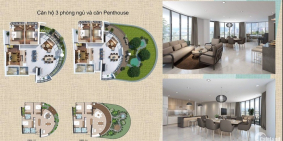 Căn hộ chung cư gateway dic vũng tàu