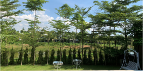 Bán biệt thự Hoàng Anh Flamingo (Gấp) - Chính chủ