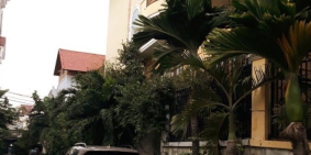 Biệt Thự Lô Góc Thảo Điền, Mặt Tiền Trúc Đường, 5 Tầng, 120m, 20 Tỷ.