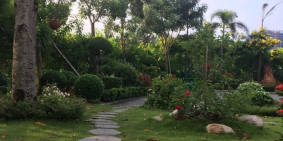 Bán biệt thự Vip đường 30m KDC Phú Mỹ,Vạn Phát Hưng,Quận 7 giá 28 tỷ