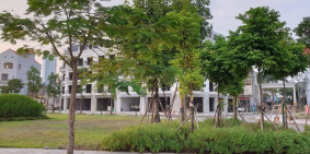 DRAGON PARK Văn Giang - Khu đô thị mới TIỆN NGHI cạnh ECOPARK Hưng Yên