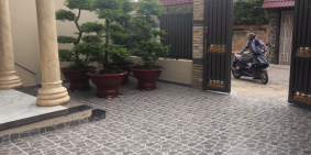 Định Cư Nước Ngoài Cần Bán Lại Biệt Thự Vườn 300m2 ở Hóc Môn,Gía 1,5 tỷ