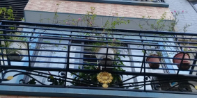 Cần bán nhà đẹp Trương Định, oto, 46m2x5T, MT4m, 5,4 tỷ