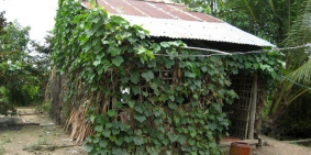 Bán gấp Nhà nát đường Vườn Thơm tại Bình Chánh, SHR, 750TR