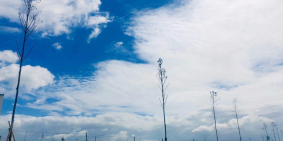 Đáo hạn ngân hàng bán gấp lô đất ở mặt tiền Quốc Lộ 50, DT 82m2 giá 860tr TL,