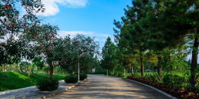 Biệt thự "Vàng" trong làng đầu tư , tỉ suất >20%/năm !!!