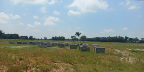 Hot hot! KHU ĐÔ THỊ SAO VÀNG, MẶT TIỀN ĐT 825, THỊ TRẤN ĐỨC HÒA, CHỈ 900 TRIỆU/N