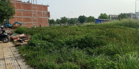 Cần bán đất nền mặt tiền Trần Hải Phụng, Tân Tạo, BÌnh Tân, TP.HCM