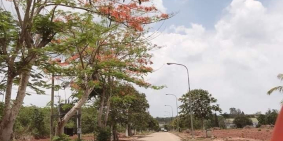 Mua đất tặng vàng, Chiết khấu hấp dẫn