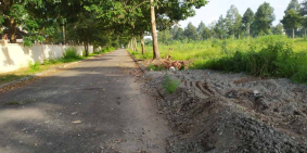 Những Đặc Quyền Stella Mega City dành cho Khách Hàng khi tham gia Dự Án