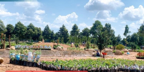 Stella Mega City! dự án lớn nhất tại Cần thơ