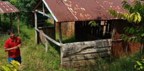 Bán rẫy điều, cafe và cao su 1,7ha /1,1 tỷ