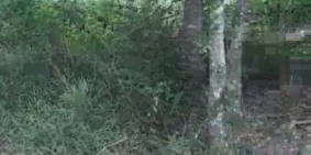 Đất Chính Chủ Long Hòa-Dầu Tiếng-Bình Dương