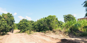 Có khoảng 1 tỷ thì nên đầu tư gì?