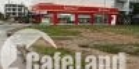 VIETCOMBANK THANH LÝ 2NỀN ĐẤT BÀU GỐC TRONG KDC TÂN KIÊN BÌNH CHÁNH, 1TỶ5/NỀN