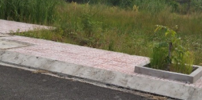 Bán đất thổ cư 480tr/ nền - 100m2 Có Sổ Hồng Riêng chính chủ !