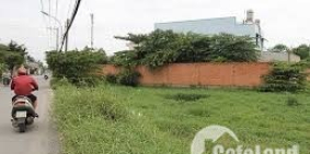 Chỉ Còn 1 Lô MT Cây Gỏ (Đất cây lâu năm) Diện Tích 283m2 Mà Chỉ 1Ttỷ 500 triệu