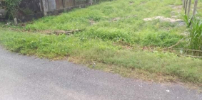 cần tiền cho con đi du học bán gấp đất giá 950tr/ 500m củ Chi