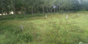 Kẹt tiền bán giá rẻ đất thổ cư 91m2 giá 900 triệu,xã thái mỹ,sang tên liền