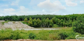 Gấp! Cần bán 5 lô đất gần đường Phước Bình, giáp sân bay Long Thành, Đồng Nai.