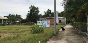 Đất Đạo Thạnh-Tiền Giang, 146m2, 555tr, SHR, thổ cư 100%