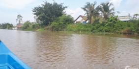 Bán gấp lô đất 600m2 cây lâu năm có 60m2 thổ cư cách phà cát lái 1km