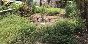 Cần tiền trả nợ, bán hạ giá đất nền Phú Đông, mặt đường nhựa, sổ đỏ, chính chủ