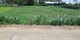 Bán lô đất 230m2, thổ cư 100%, vị trí đẹp tại Phú Hòa, Phú Yên, SĐCC