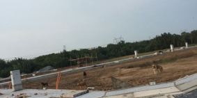 Bán gấp đất MT đường Nguyễn Thị Định, Cát Lái. SHR, thổ cư 100% lh 0909950866