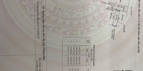 Đất nền Tỉnh Lộ 10 - phường Tân Tạo, Q. Bình Tân