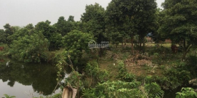 Bán gấp mảnh đất diện tích 2500 tại Phú Cát Quốc Oai Hà Nội