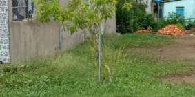 Đất nền ngay thành phố Vũng Tàu, chính chủ