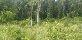 Cần bán đất dự án giá rẻ gần KCN Becamex .