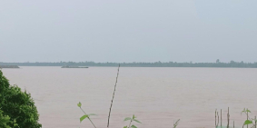 BÁN ĐẤT TRỒNG SẦU RIÊNG RI 6- ĐẤT CỒN NỔI SÔNG TIỀN