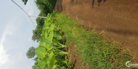 Cần bán mảnh vườn 4000m2.xã Suối Nho.Định Quán.Đồng Nai