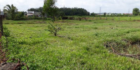 Đất nhà xưởng đường Nguyễn Thị Nê 50m giáp khu dân cư xã Phú Hòa Đông dt 1750m