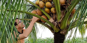 Bán đất vườn, có sẵn nhà và ao cá, trang trại 500m2 giá 240triệu gần chợ Tân Phú