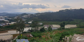 Cho thuê đất 1000m2, hướng KDL Suối Vàng p.7 Đà Lạt, 20tr/ tháng