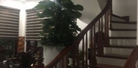 CẦN CHO THUÊ GẤP BIỆT THỰ ĐẶNG XÁ full nội thất cao cấp 200m2 – 30 Tr/ tháng