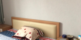 Cập nhập Thị trường căn hộ Sunrise Riverside tháng 11 chính xác 100%