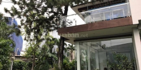 Bán Gấp Biệt Thự Sân Vườn Đường 12, Phường Trường Thọ, Thủ Đức, DT 1177m2