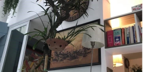 Nhà đẹp Nguyễn Văn Cừ vài bước đến cầu Chương Dương 4 tỷ 45m